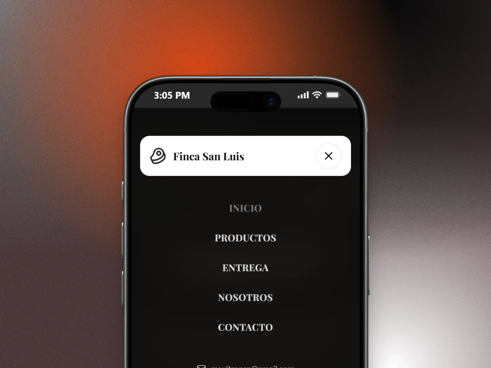 Mockup-Movil-2_1_11zon.webp